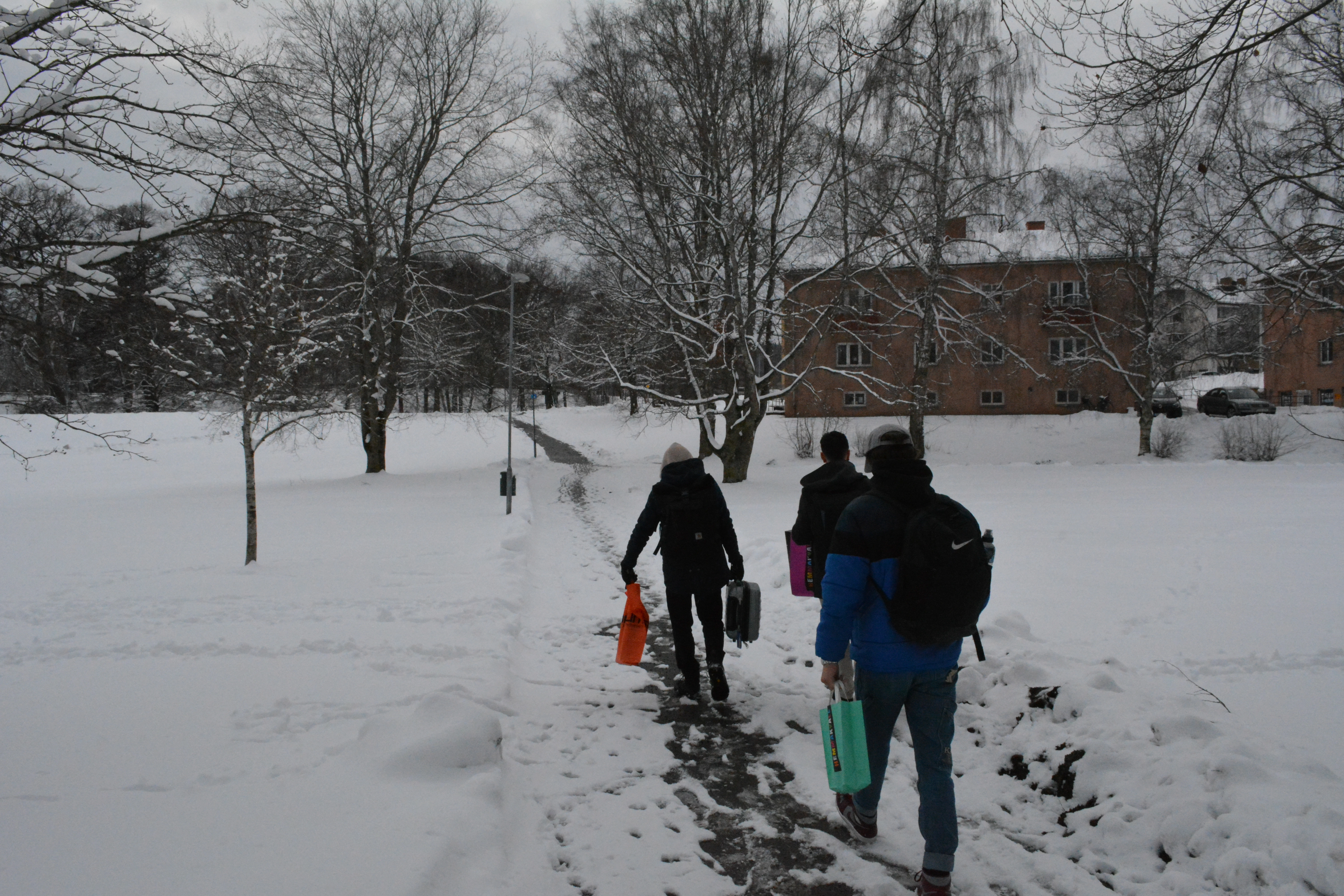 ali-sinan-miguel-gael-trip